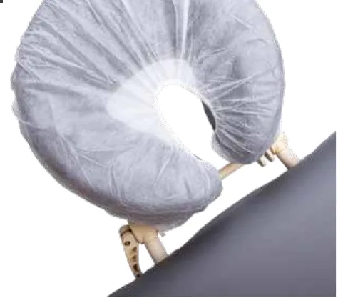 PINO Disposable Covers & Fleece Sheets for Couches