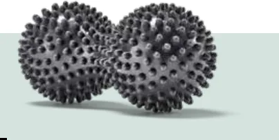 PINOFIT® Fascia Spiky Roller Peanut & Fascia Spiky Massage Ball