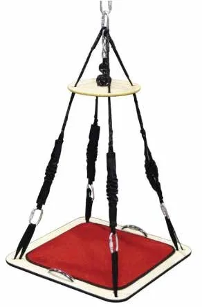 TheraGym Multi Purpose Swing